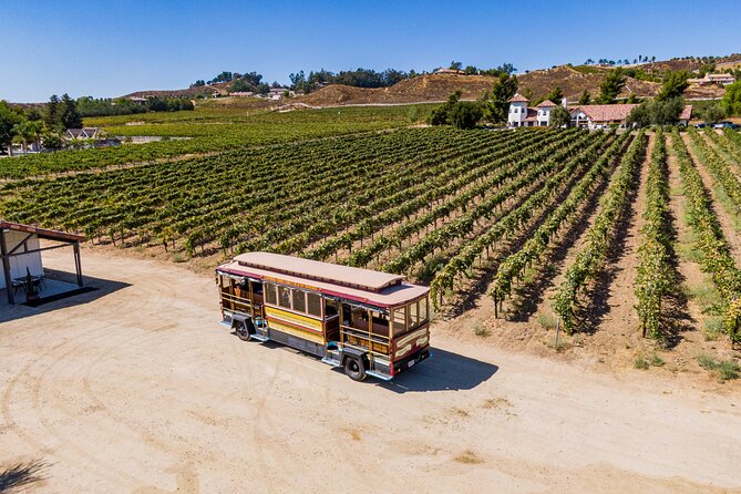 All-Inclusive Social Wine Tour - Starting Point and Transportation Logistics in Fredericksburg