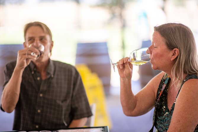 All-Inclusive Social Wine Tour - The Role of the Guide and Vehicle Comfort