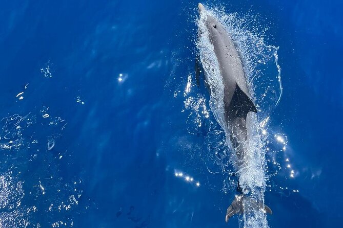 All Inclusive Tour to Delos and Rhenia Islands with S/Y Olga M - Enjoying Mediterranean Cuisine and Beverages on the Boat
