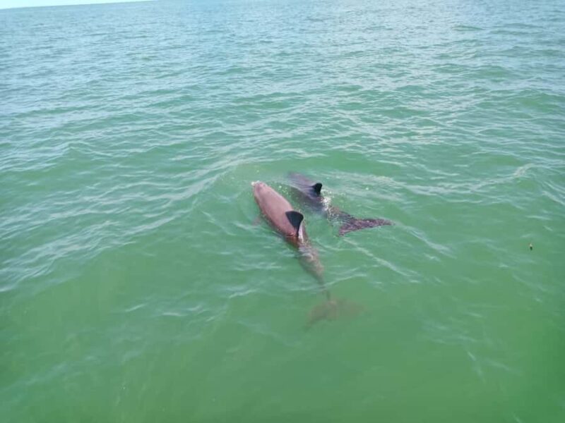 All inclusive Visit to Holbox Island - Free Time to Explore Holbox Island