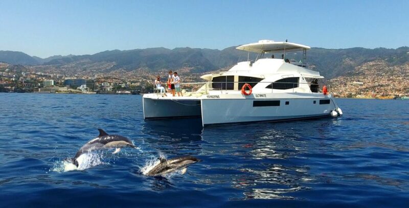 All Inclusive Whale and Dolphin Watching Luxury Tour - Scenic Stop at Cabo Girão Seaside Cliff