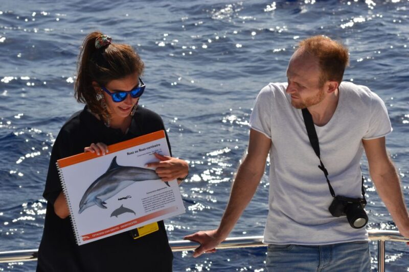All Inclusive Whale and Dolphin Watching Luxury Tour - No Hotel Pickup, but Easy Access to the Marina