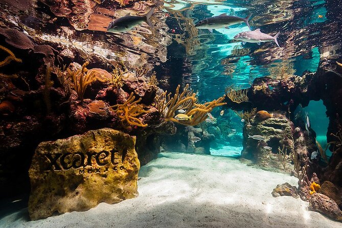 All-inclusive Xcaret Park with Transportation from Cancun & Playa Del Carmen - Key Points