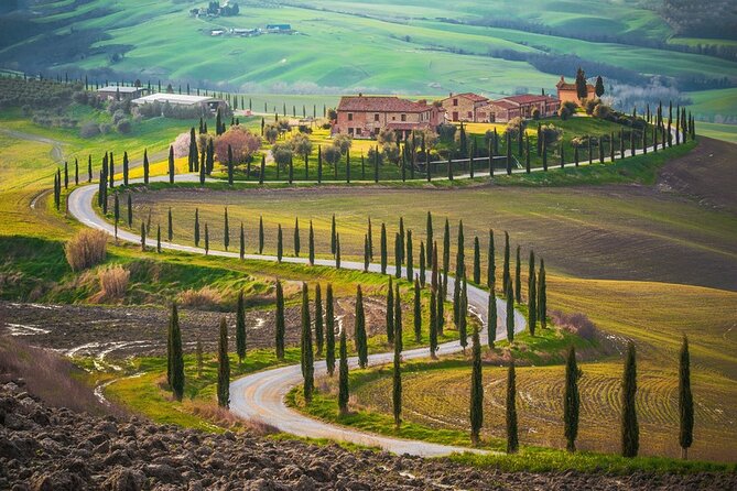 All Tuscany Private Siena San Gimignano & Chianti Livorno Shore Excursion - Practical Details and Group Size