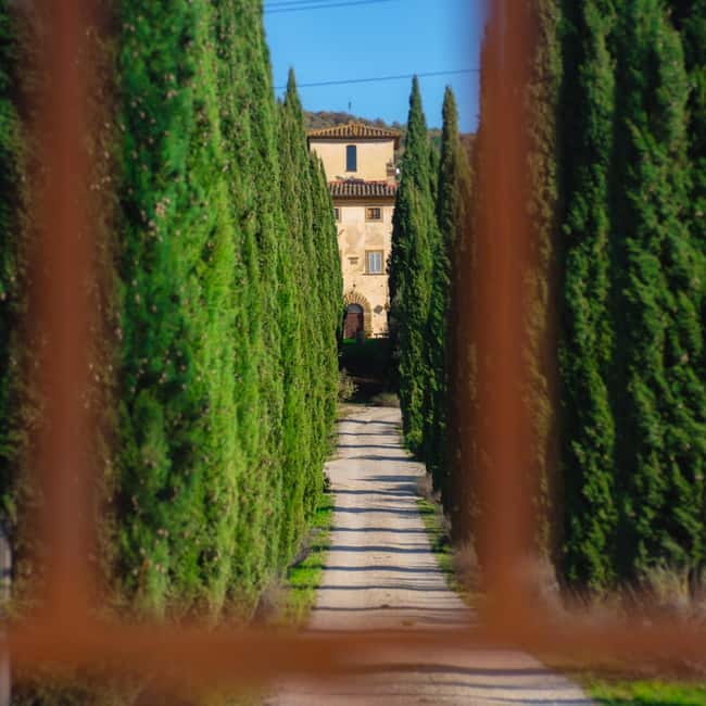 All Tuscany Wine Tour - Starting at the Entrance Gate With Cypress Trees and Villa Views