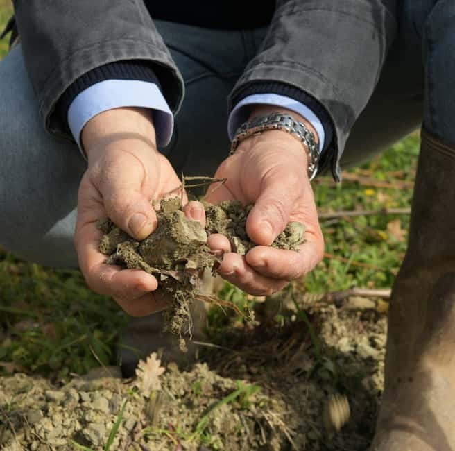 All Tuscany Wine Tour - The Exclusive Cellar Setting and Small Business Advantage