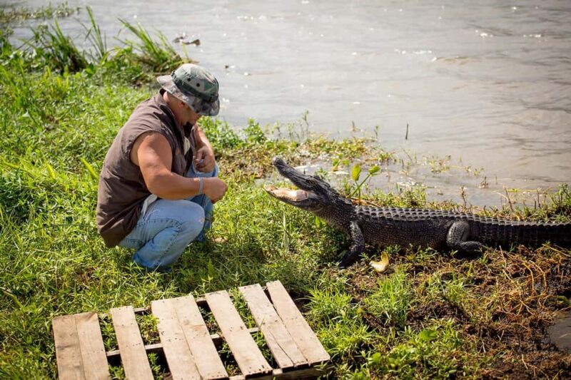 Alligator Swamp Tour by Gray Line New Orleans - Key Points