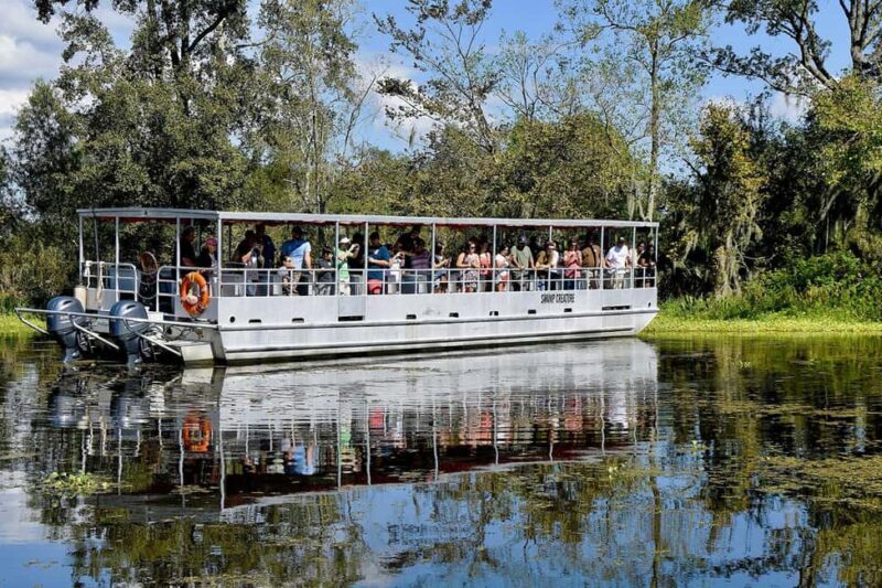 Alligator Swamp Tour by Gray Line New Orleans - Exploring Louisiana’s Wetlands on a Custom-Built Swamp Pontoon