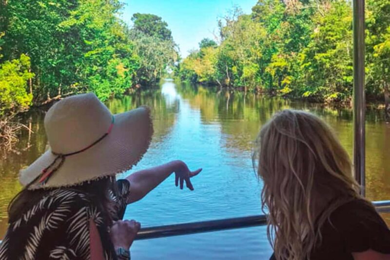 Alligator Swamp Tour by Gray Line New Orleans - Accessibility and Family-Friendly Features