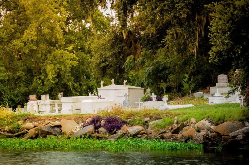 Alligator Swamp Tour by Gray Line New Orleans - Comparing Similar Tours and Options