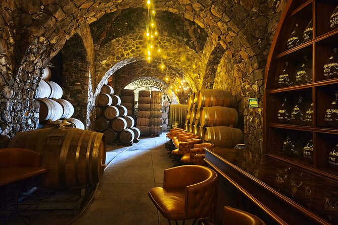 Alma Tequilera Flavors Tradition and Feast - Discovering Cantaritos el Güero #1 and Local Dance