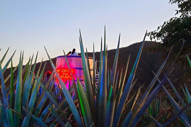 Alma Tequilera Flavors Tradition and Feast - What’s Included and What to Expect