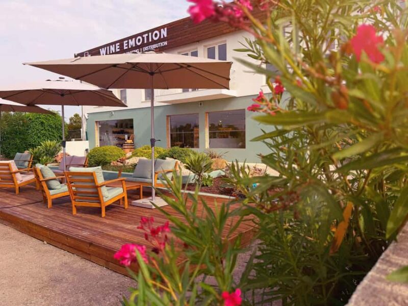 Almancil: Bespoke Wine Tasting Experience with Cheese Board - Comparing This Tour to Other Experiences in Algarve