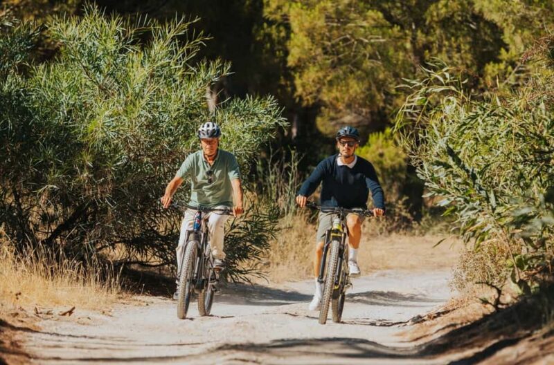 Almancil: Faro Island Guided Bike Tour with Coffee Break - Cycling Through the Algarves Natural Areas