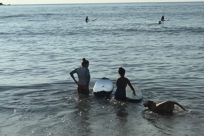 Almar Surf & Skate School: Surflessons in Bahia de Banderas - Locations: Sayulita and La Lancha