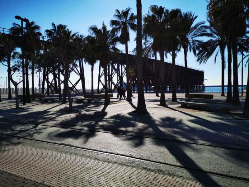 Almería: Guided City Discovery Tour - The Value and Flexibility of the Tour