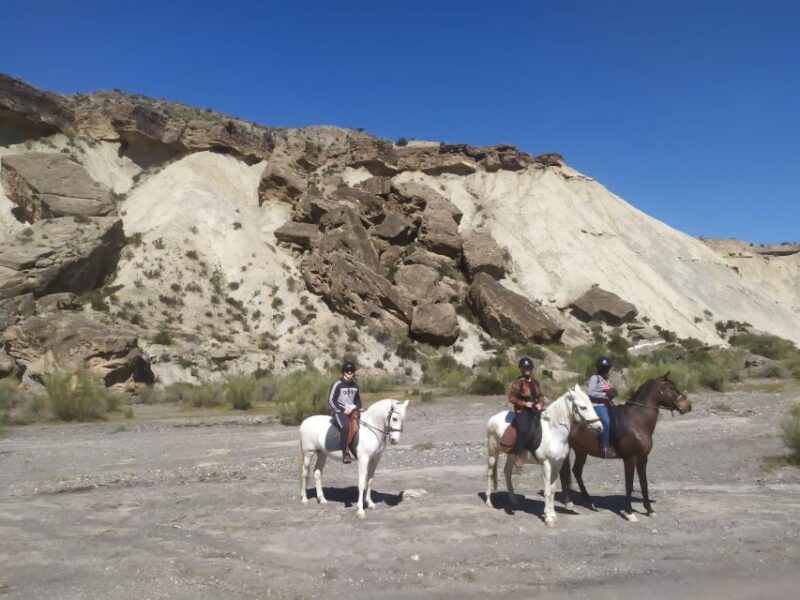 Almeria: Horse Riding Tour Through the Tabernas Desert - Starting Point and Meeting Logistics