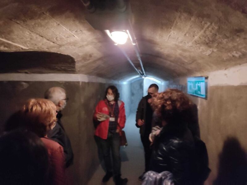 Almeria: Spanish Civil War Shelters Ticket and Official Tour - Key Points