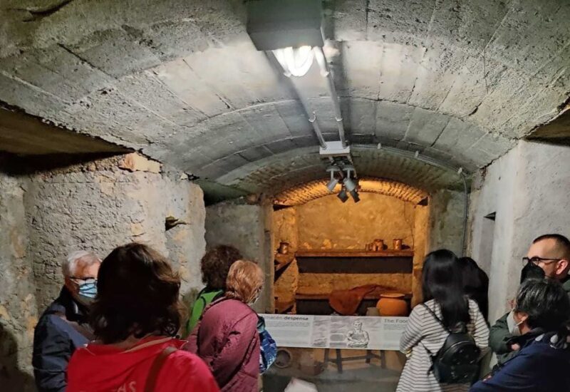 Almeria: Spanish Civil War Shelters Ticket and Official Tour - The Guided Tour Led by a French-speaking Expert