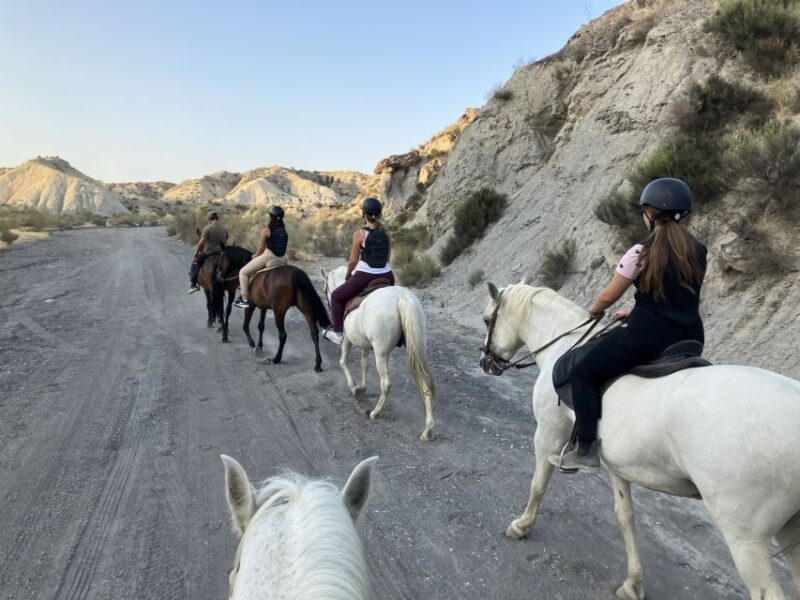 Almeria: Tabernas Desert Horse Riding for experienced riders - The Ride Itself: Advanced Horse Riding in the Desert