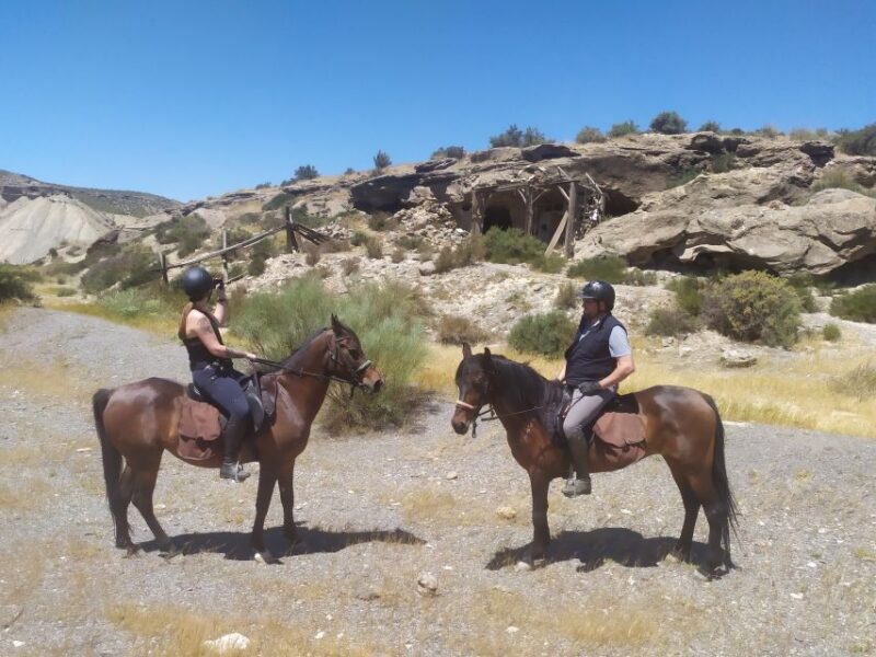 Almeria: Tabernas Desert Horse Riding for experienced riders - Who Can Join This Desert Horseback Tour?