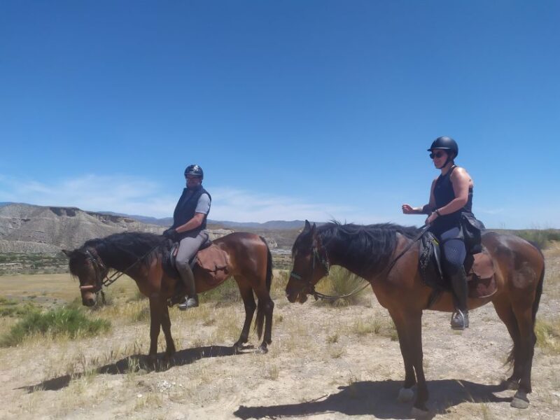 Almeria: Tabernas Desert Horse Riding for experienced riders - Logistic Details: Meeting Point and Group Size