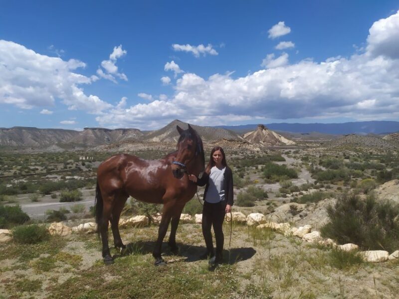 Almeria: Tabernas Desert Horse Riding for experienced riders - Weather Considerations and Possible Route Changes