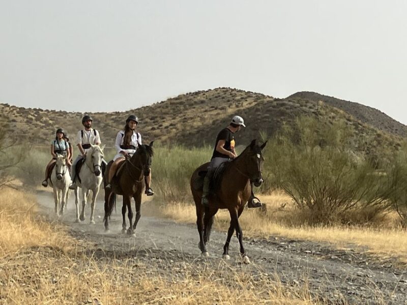 Almeria: Tabernas Desert Horse Riding for experienced riders - Value and Booking Flexibility
