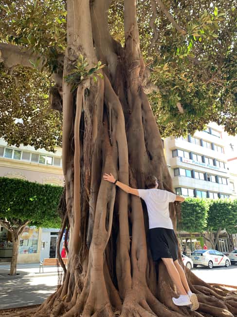 Almería: Walking City and Tapas Tour - Physical Requirements and Accessibility