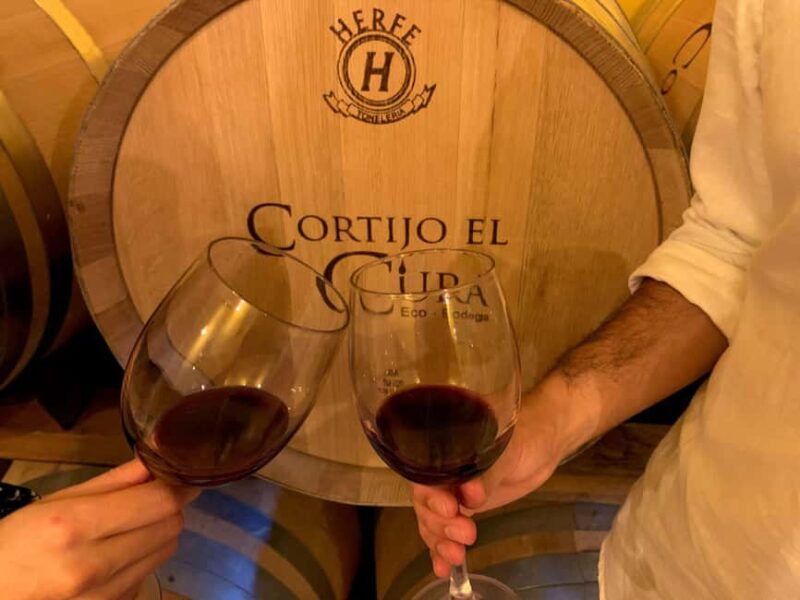 Almería: Wine tour and aperitif from La Alpujarra in Winery - The Organic Winery and Wine Secrets