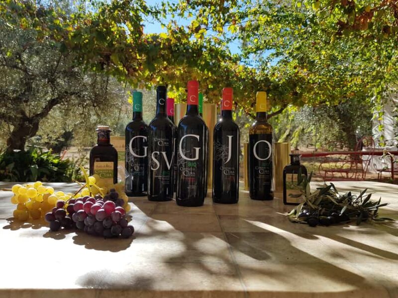 Almería: Wine tour and aperitif from La Alpujarra in Winery - Tasting 5 Organic Wines with Farm-produced Snacks