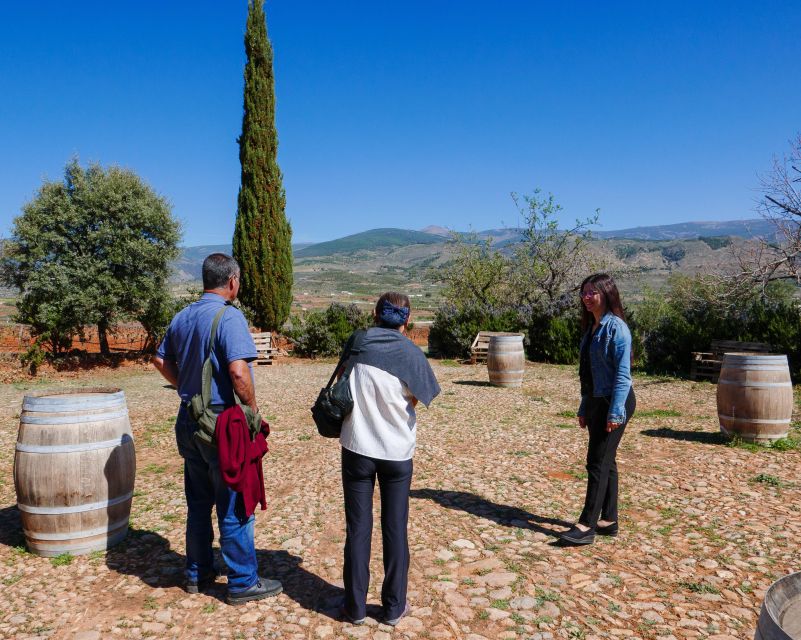 Almería: Wine tour and tasting in Organic Winery - Key Points