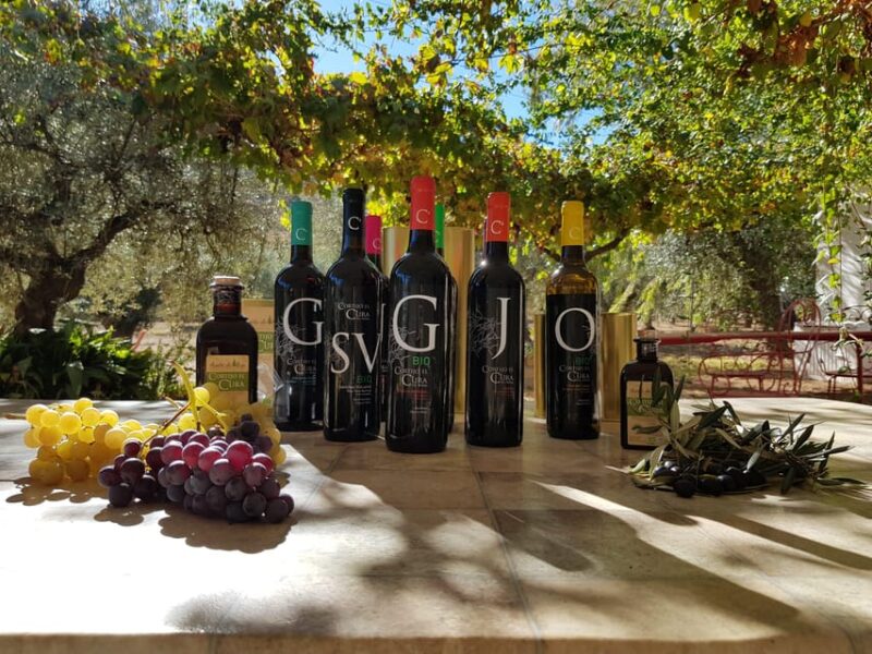 Almería: Wine tour and tasting in Organic Winery - Insights from the Agricultural Museum