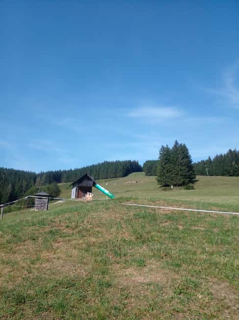 Alp Mountains Tour - Highlights and Notable Inclusions