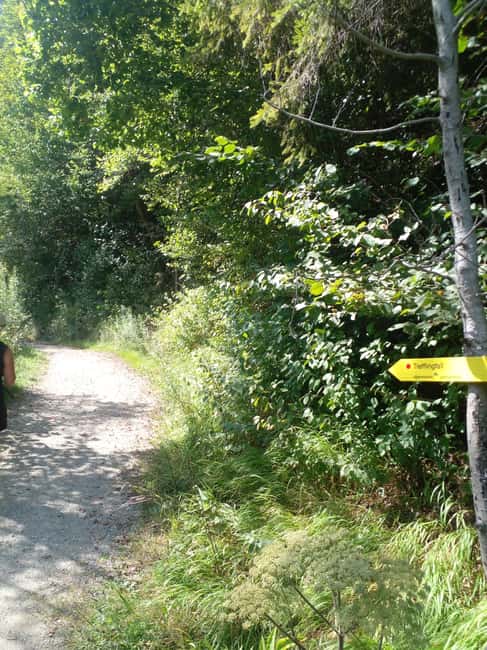 Alp Mountains Tour - The Experience Provider: World Tourism Services