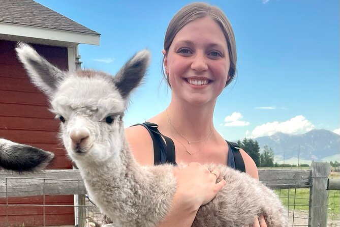 Alpaca and Llama Farm Tour - Bozeman’s Alpaca and Llama Farm Location and Meeting Details