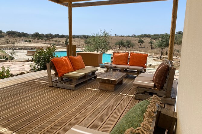 Alpaca Meet and Feed in Grândola - Why the Alpaca Meet and Feed in Grândola Truly Delivers