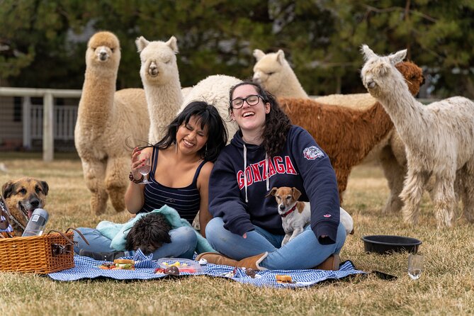 Alpaca Picnic Experience in Oregon - An Unforgettable Alpaca Picnic Experience in Bend, Oregon