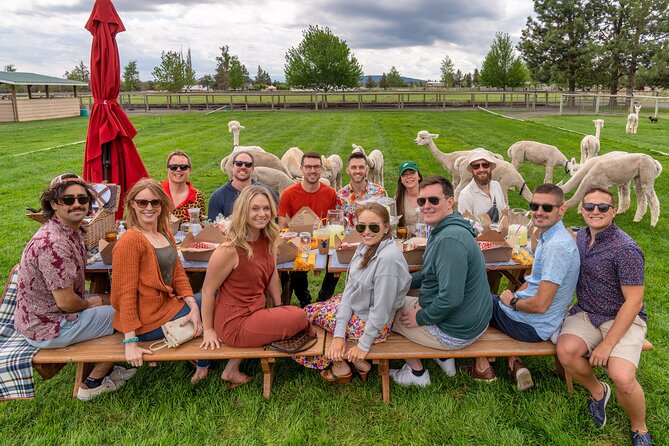 Alpaca Picnic Experience in Oregon - The Value of the Alpaca Picnic Experience