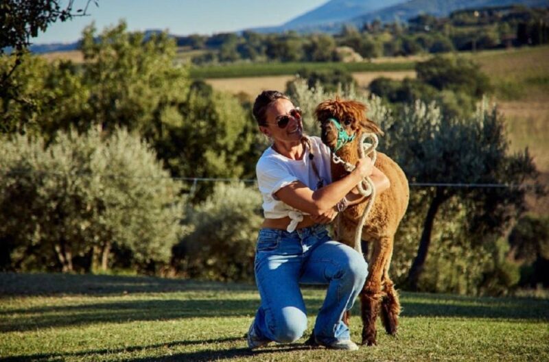 Alpaca Trek in Valdichiana Senese - The Setting: Valdichiana Seneses Scenic Countryside