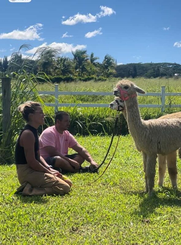 Alpacas Farm Tour on the Road to Hana - Practical Details for Visiting La Posta Alpaca Farm