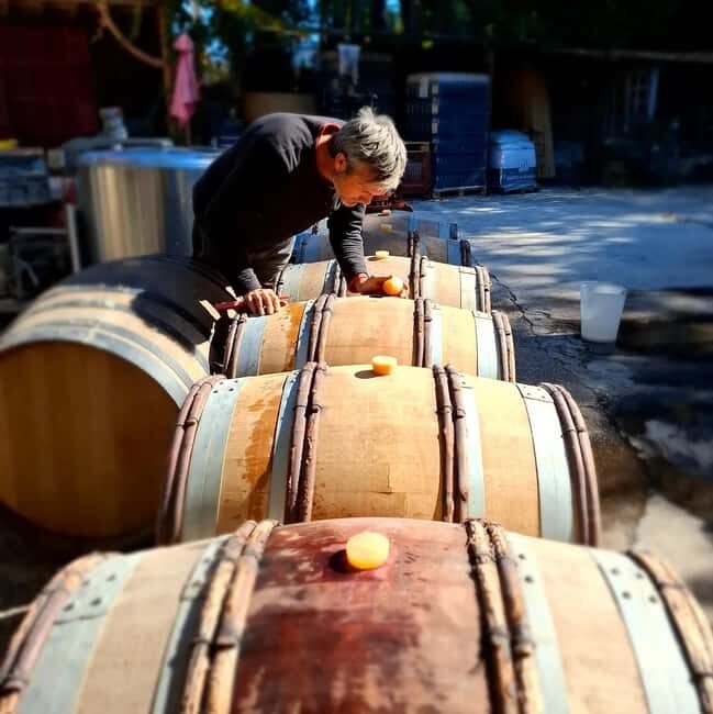 Alpilles: Discover vineyards and farms by electric bike - Explore Provence on an Electric Bike Tour for $129