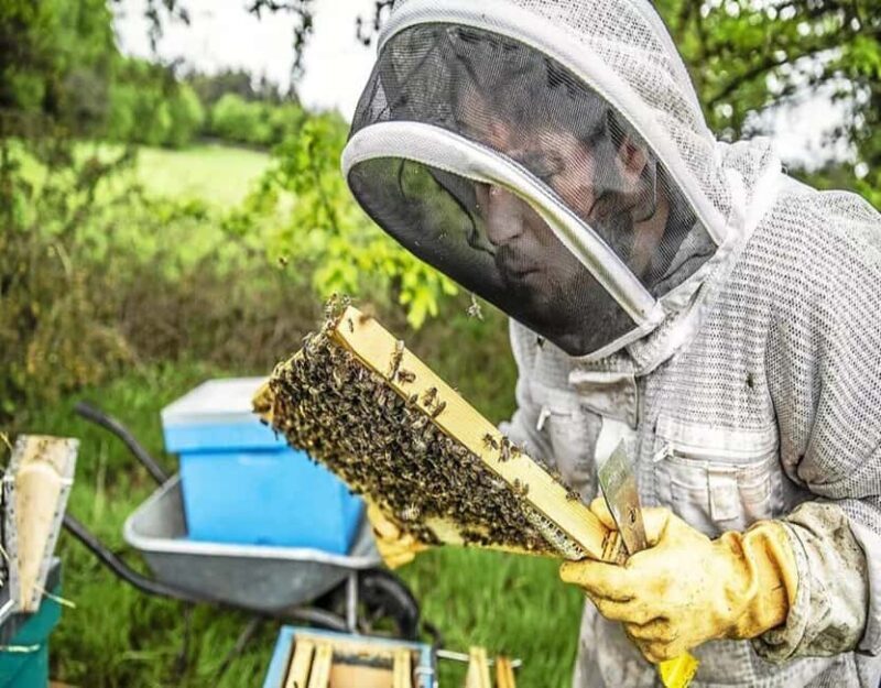 Alpilles: Discover vineyards and farms by electric bike - Key Points