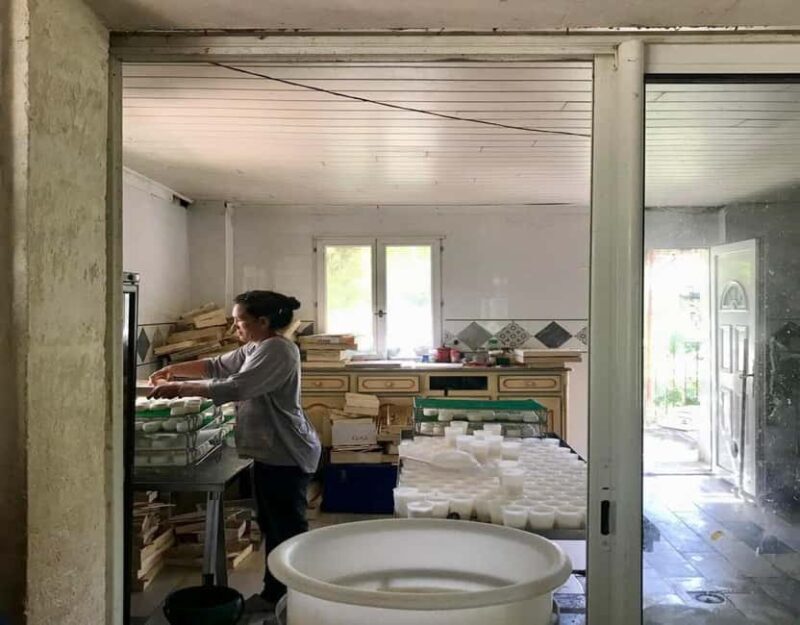 Alpilles: Discover vineyards and farms by electric bike - Visiting Local Producers for Authentic Tastings