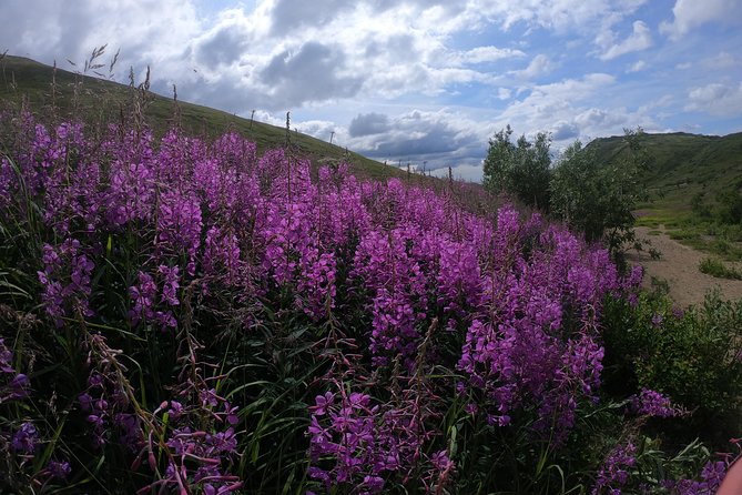 Alpine Classic Trek - Booking and Cancellation Policy