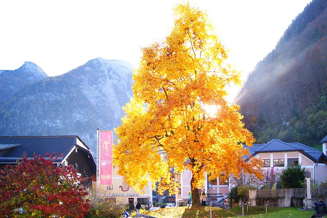 Alpine Hallstatt Day Trip from Vienna incl. Admont Abbey Visit - The Lake Traunsee Stops: Ort Castle or Traunkirchen