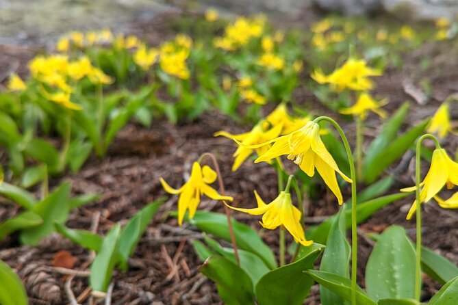 Alpine Lake Float and Guided Hike in the Bitterroot Mountains - The Guide’s Expertise and Personal Touch