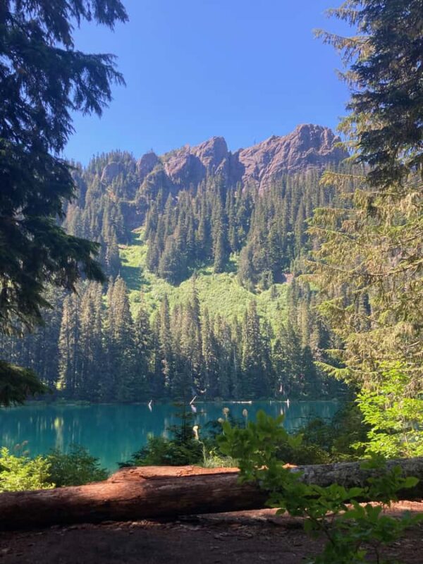 Alpine Lakes Hike In The Gifford Pinchot National Forest - What You’ll Learn About Hiking Safety and Environmental Care