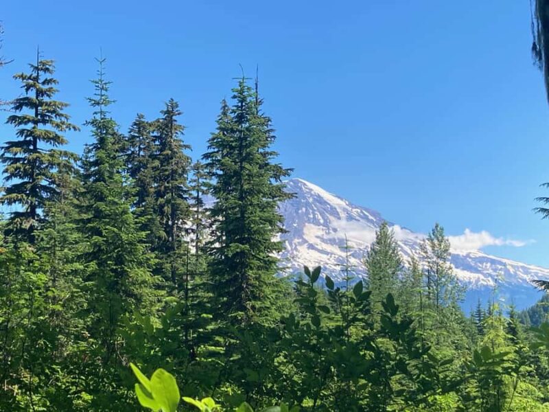 Alpine Lakes Hike In The Gifford Pinchot National Forest - The Small Group Advantage and Instructor Expertise