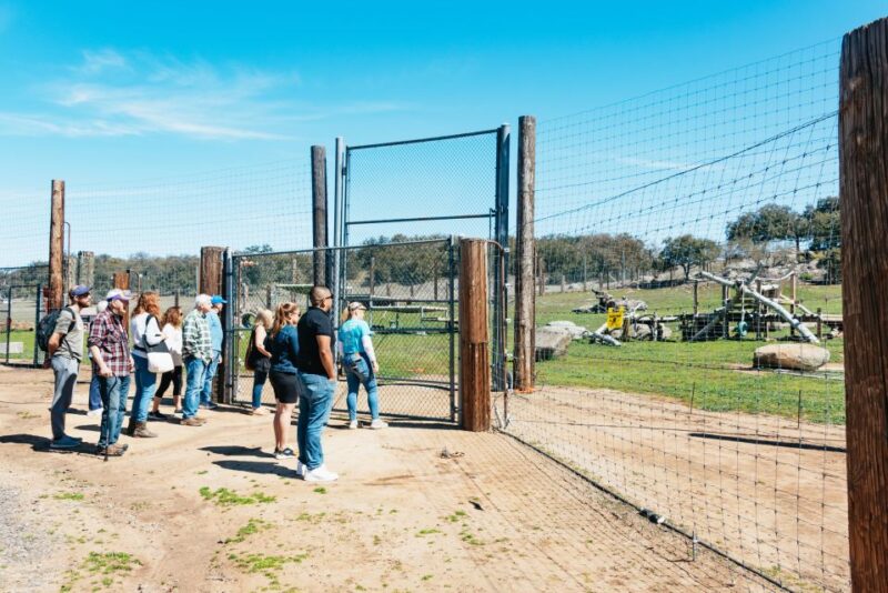 Alpine: Lions Tigers & Bears Animal Sanctuary Guided Visit - Key Points